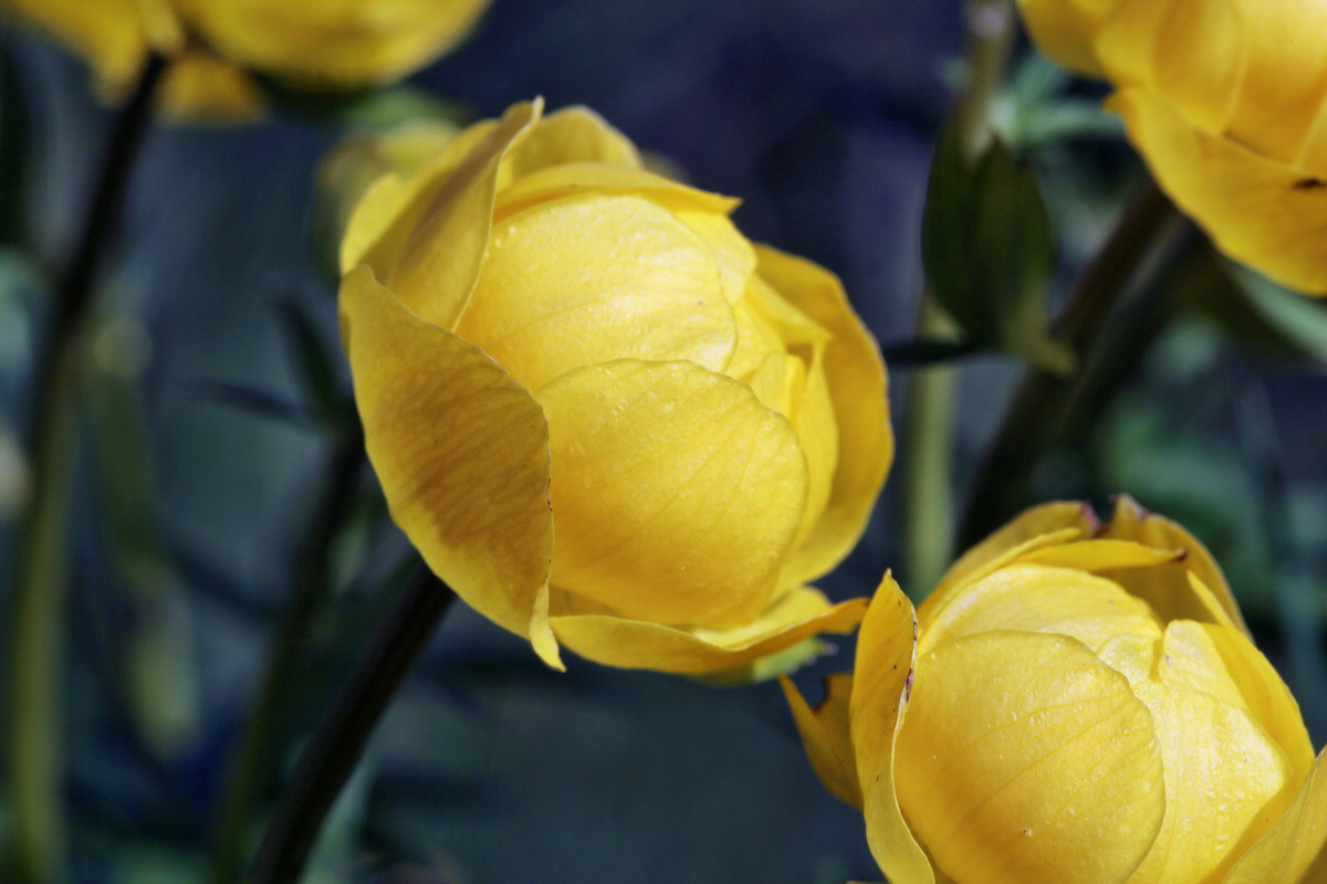 2014_05_16_00042636p_Bildgr��e �ndern