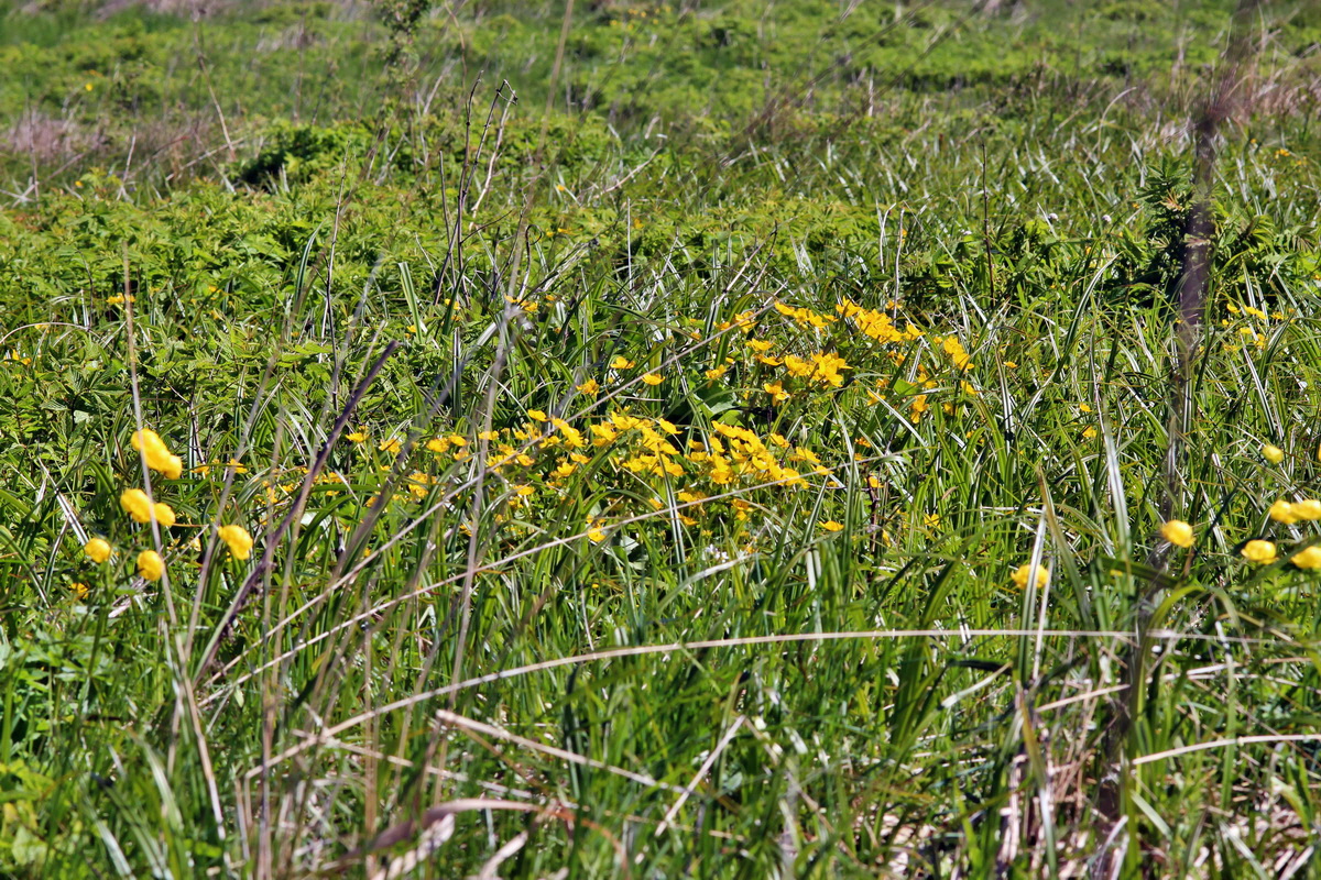 2014_05_16_00042652p_Bildgr��e �ndern