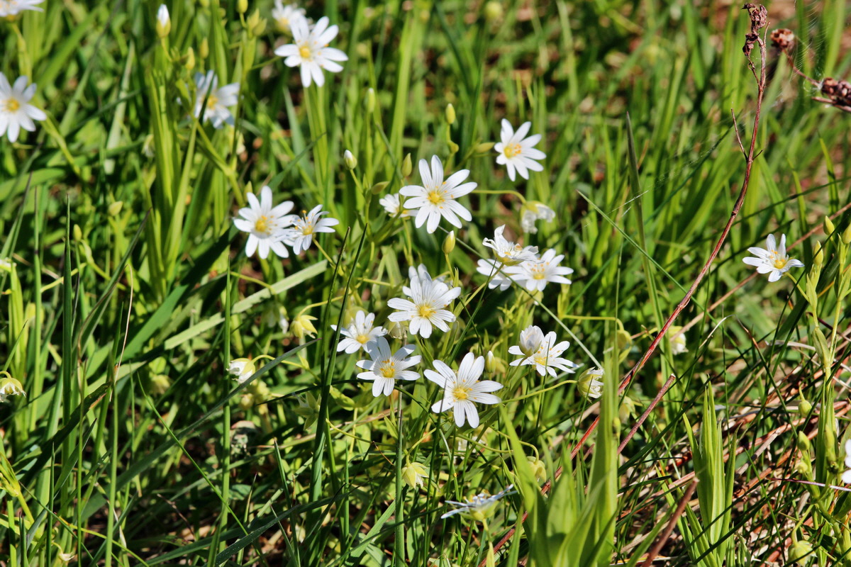 2014_05_16_00042660p_Bildgr��e �ndern