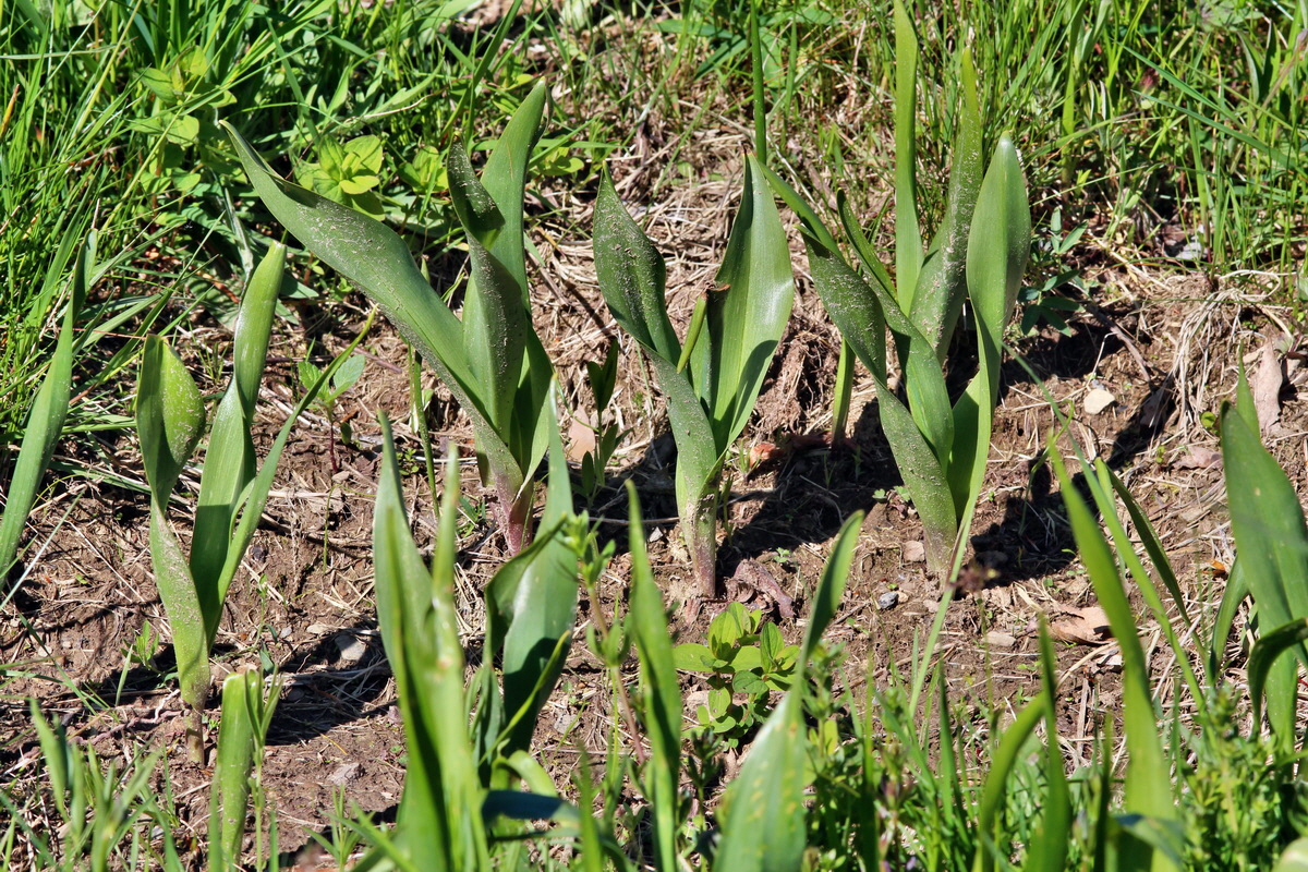 2014_05_16_00042669p_Bildgr��e �ndern