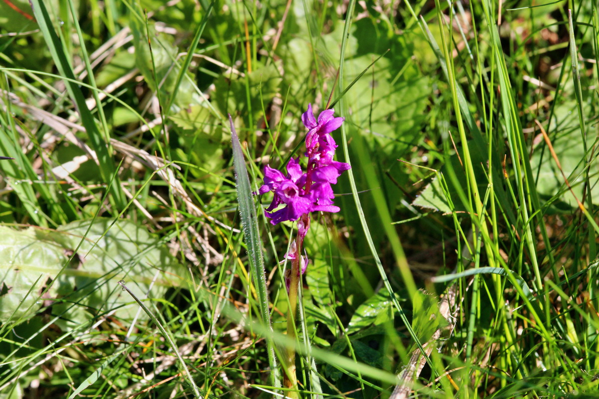 2014_05_16_00042677p_Bildgr��e �ndern