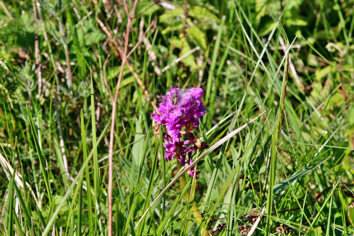 2014_05_16_00042680p_Bildgr��e �ndern