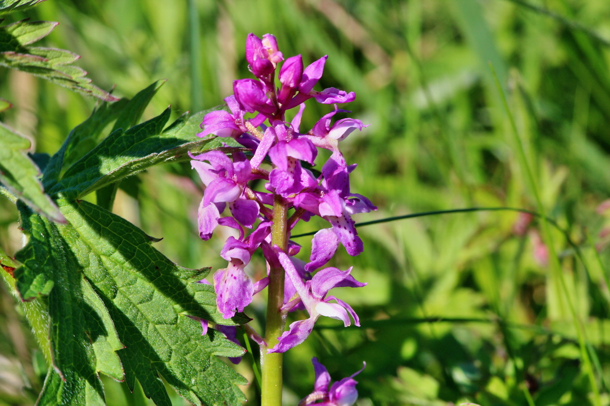 2014_05_16_00042682p_Bildgr��e �ndern