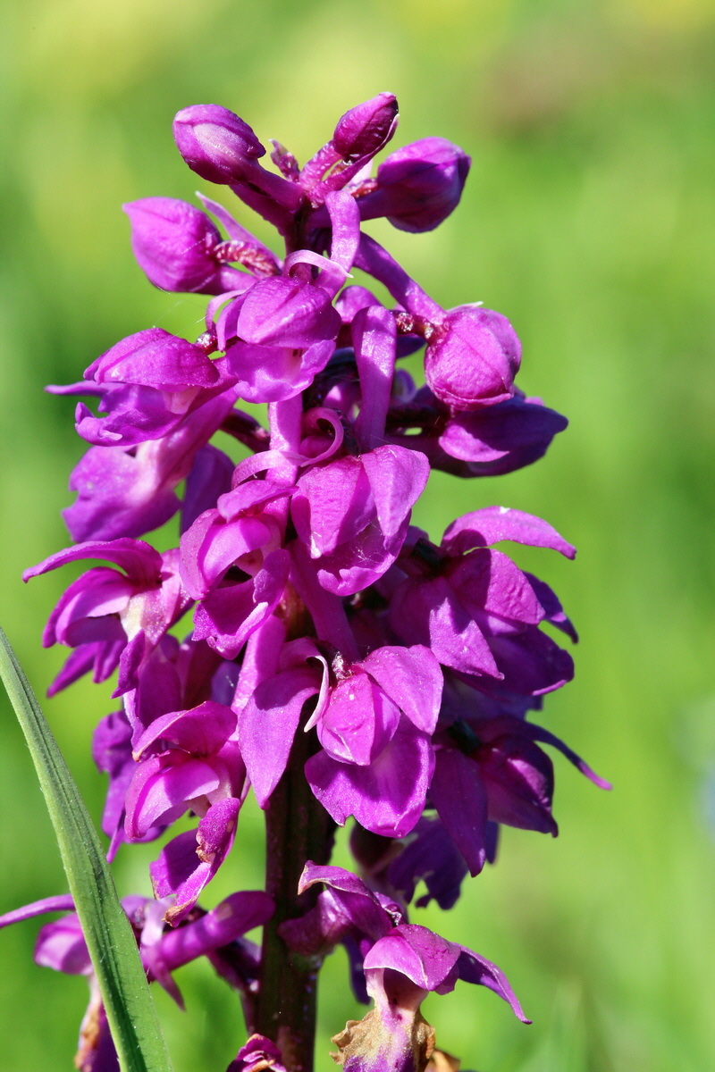 2014_05_16_00042685p_Bildgr��e �ndern