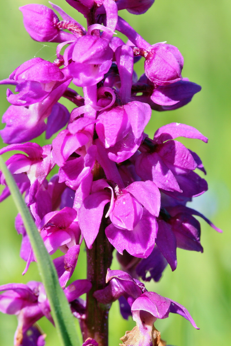 2014_05_16_00042707p_Bildgr��e �ndern