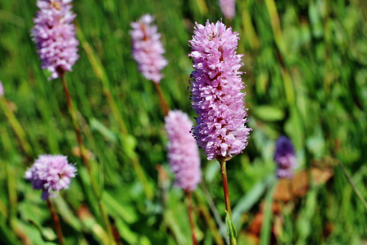 2014_05_16_00042723p_Bildgr��e �ndern