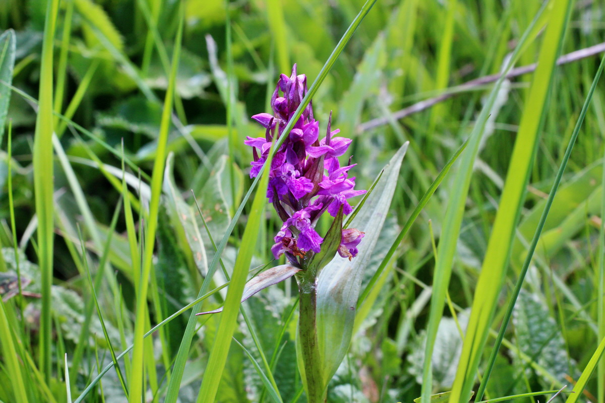 2014_05_16_00042731p_Bildgr��e �ndern