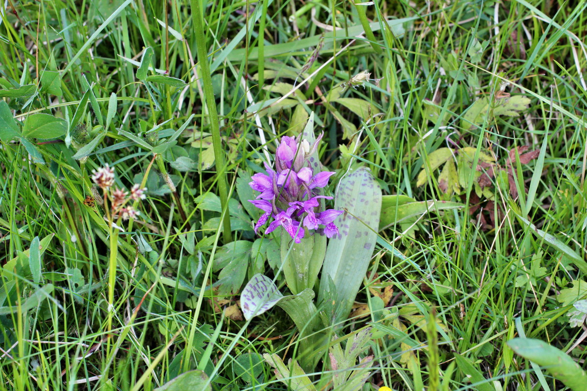 2014_05_16_00042746p_Bildgr��e �ndern