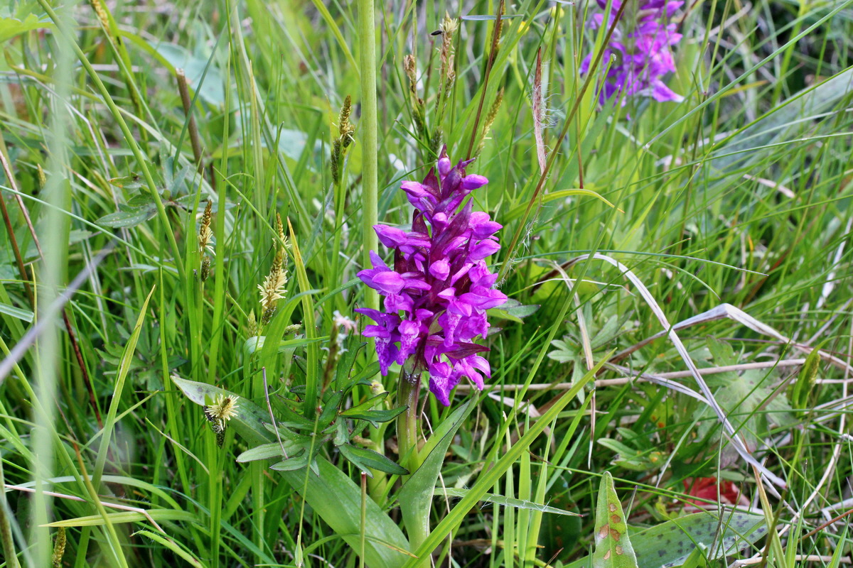 2014_05_16_00042753p_Bildgr��e �ndern