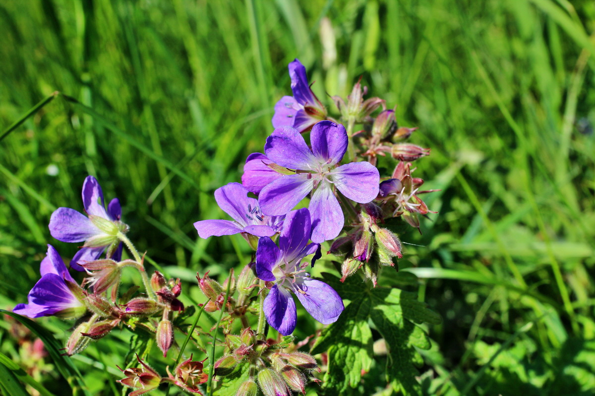 2014_05_16_00042760p_Bildgr��e �ndern