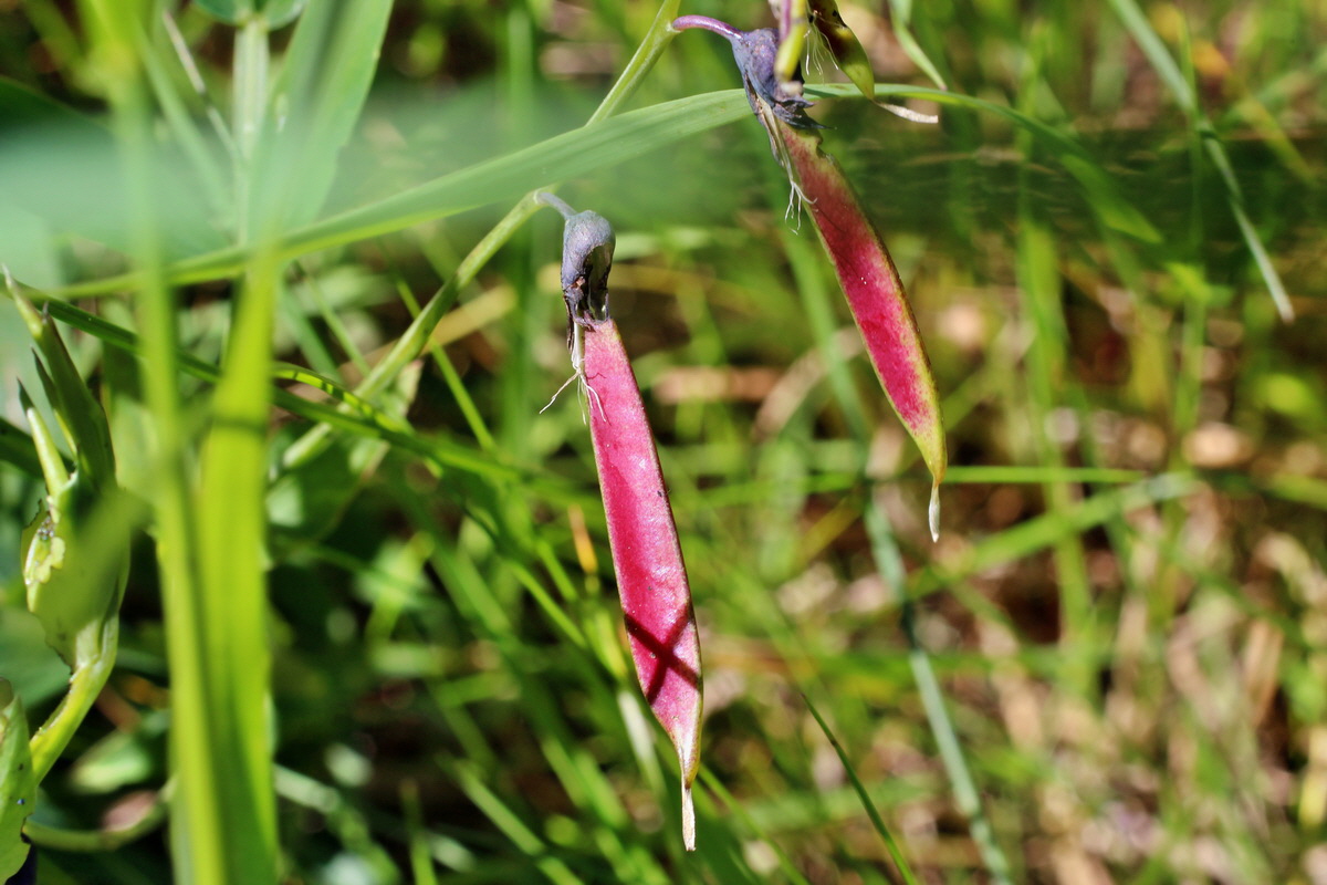 2014_05_16_00042774p_Bildgr��e �ndern