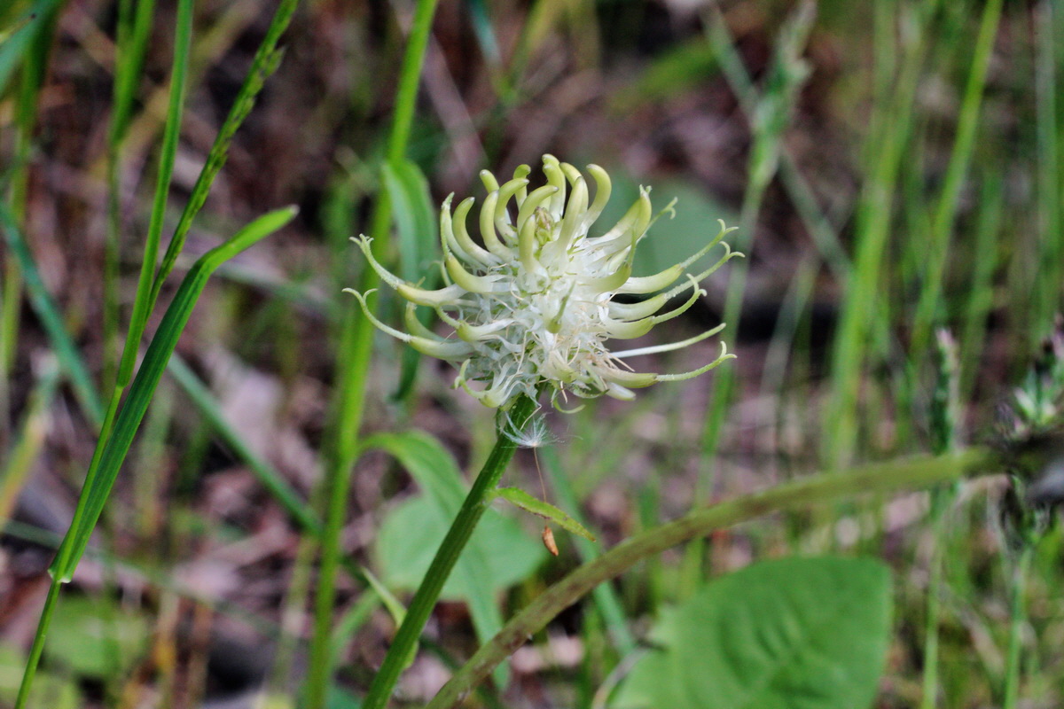 2014_05_16_00042777p_Bildgr��e �ndern