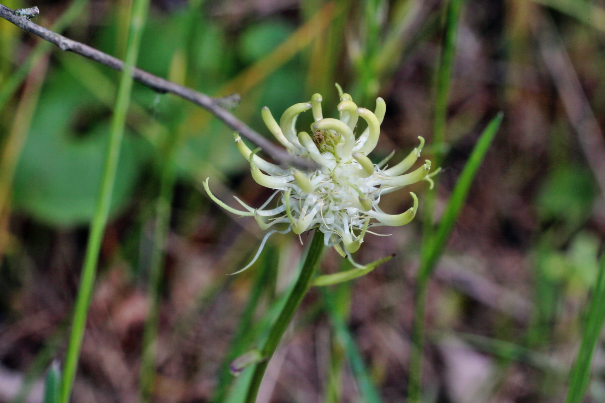 2014_05_16_00042781p_Bildgr��e �ndern