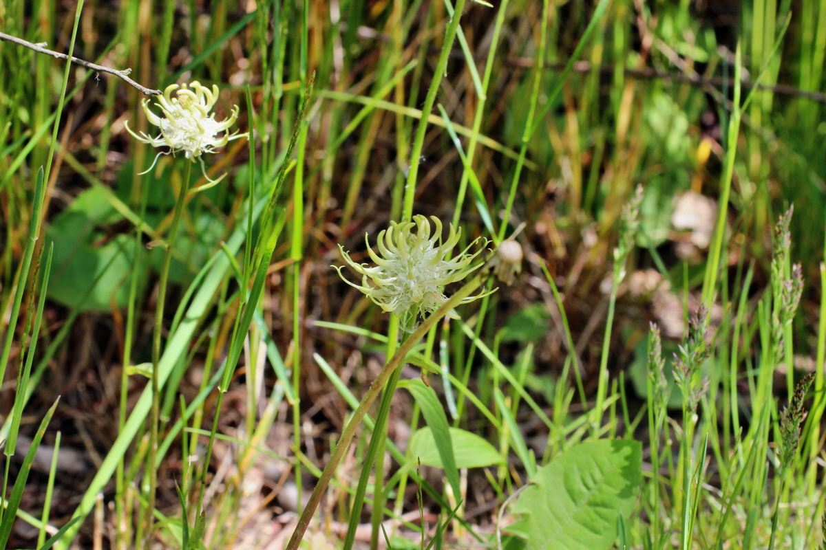 2014_05_16_00042783p_Bildgr��e �ndern