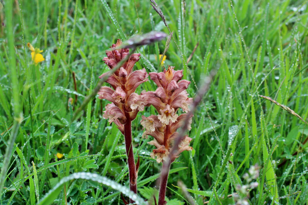 2014_05_19_00042906p_Bildgr��e �ndern