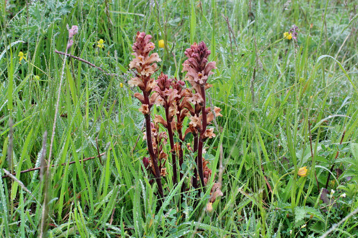 2014_05_19_00042909p_Bildgr��e �ndern