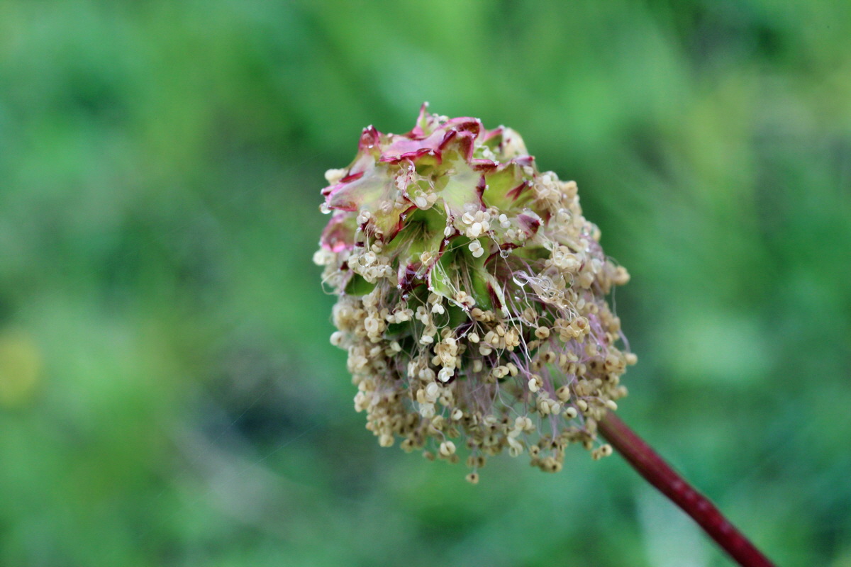 2014_05_19_00042914p_Bildgr��e �ndern