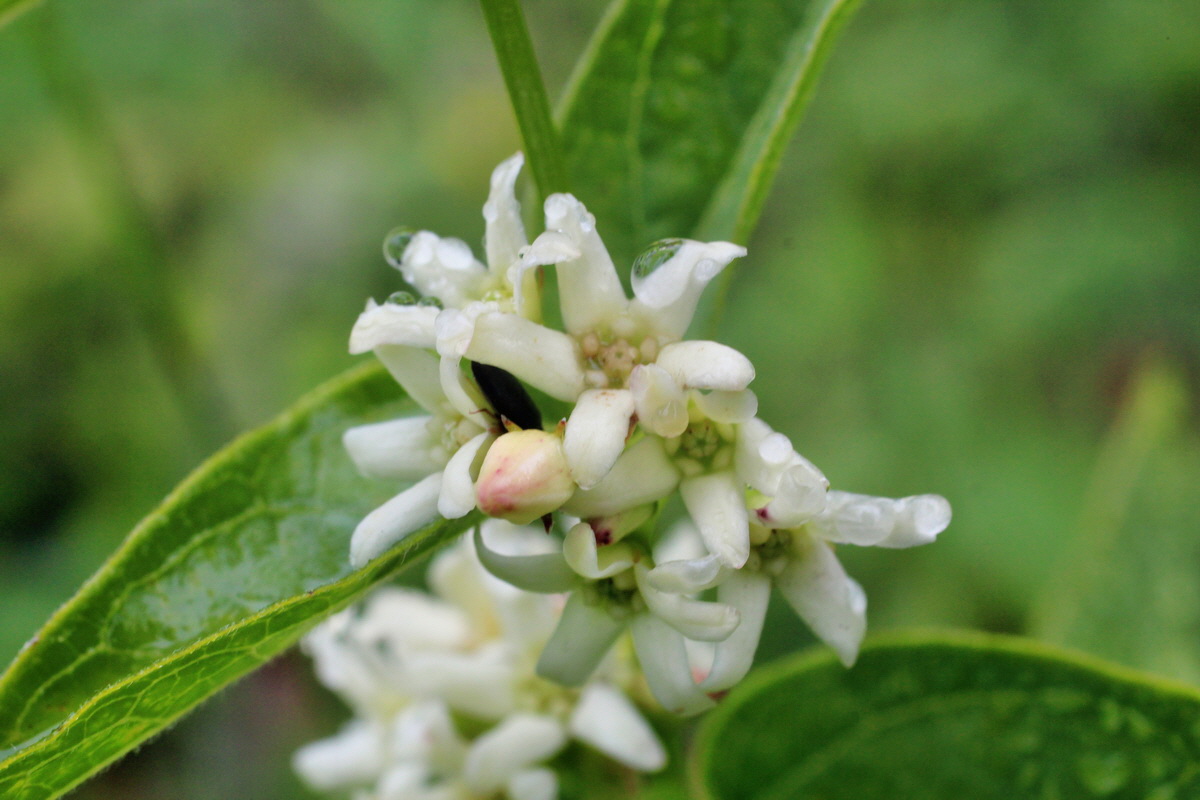 2014_05_19_00042930p_Bildgr��e �ndern