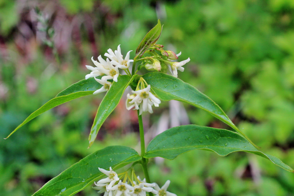 2014_05_19_00042936p_Bildgr��e �ndern