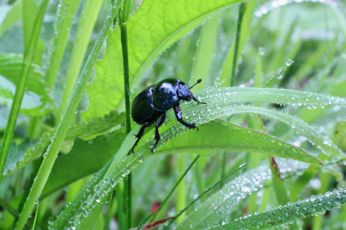 2014_05_19_00042940p_Bildgr��e �ndern