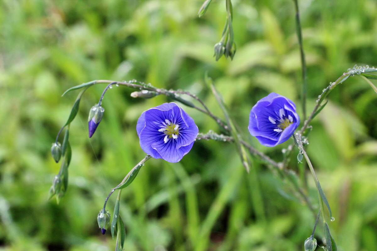 2014_05_19_00042954p_Bildgr��e �ndern