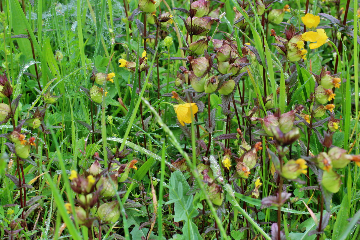 2014_05_19_00042959p_Bildgr��e �ndern