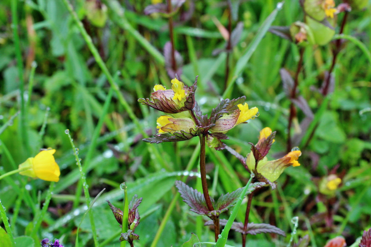 2014_05_19_00042961p_Bildgr��e �ndern