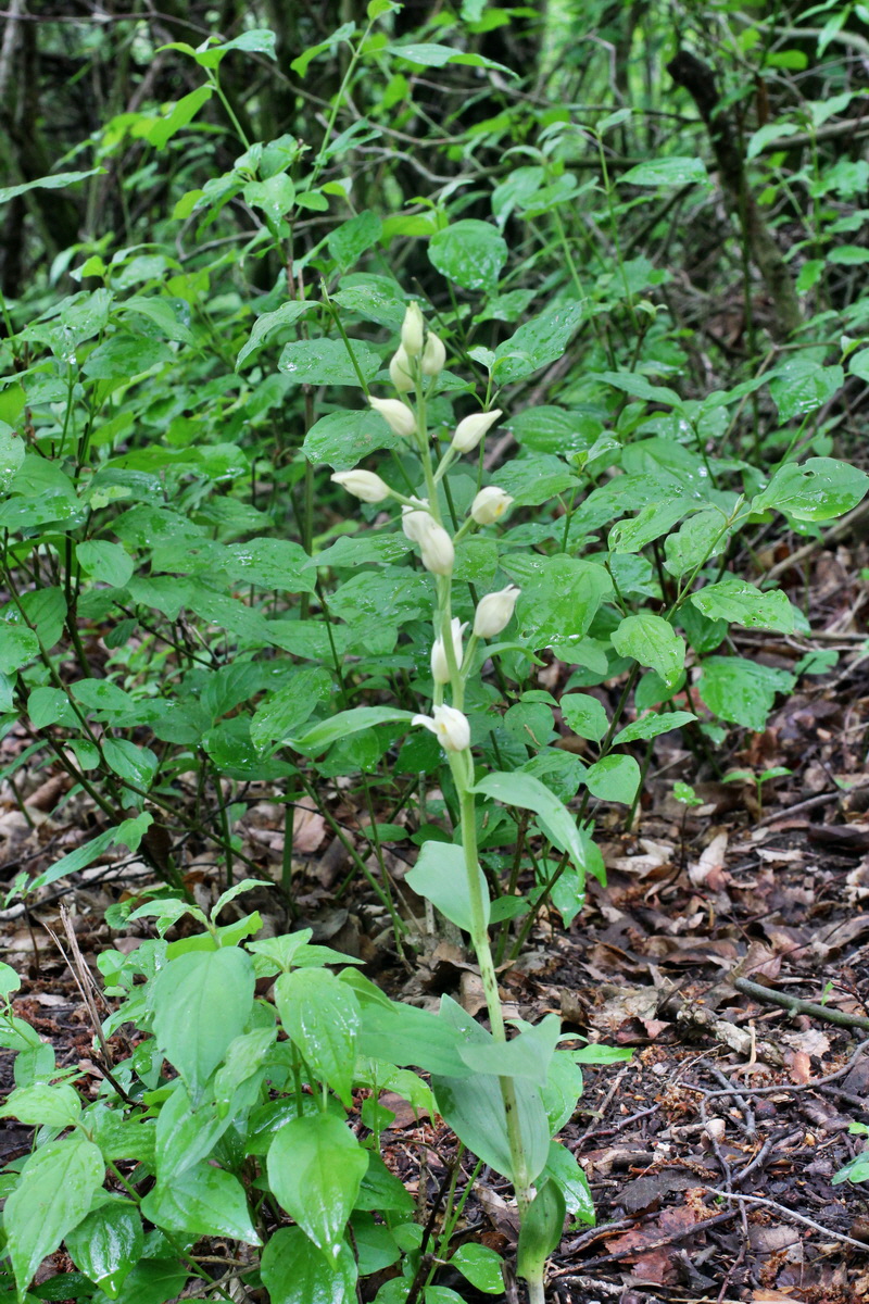 2014_05_19_00042967p_Bildgr��e �ndern