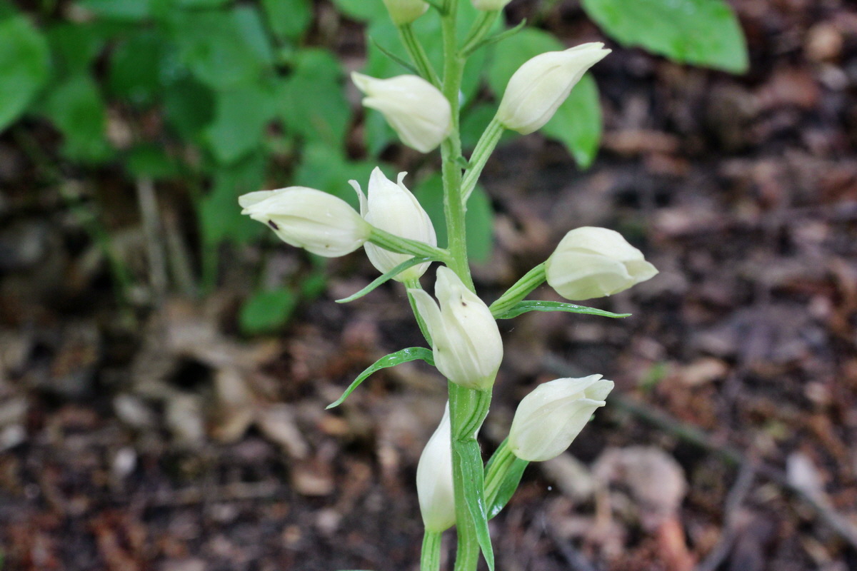 2014_05_19_00042975p_Bildgr��e �ndern