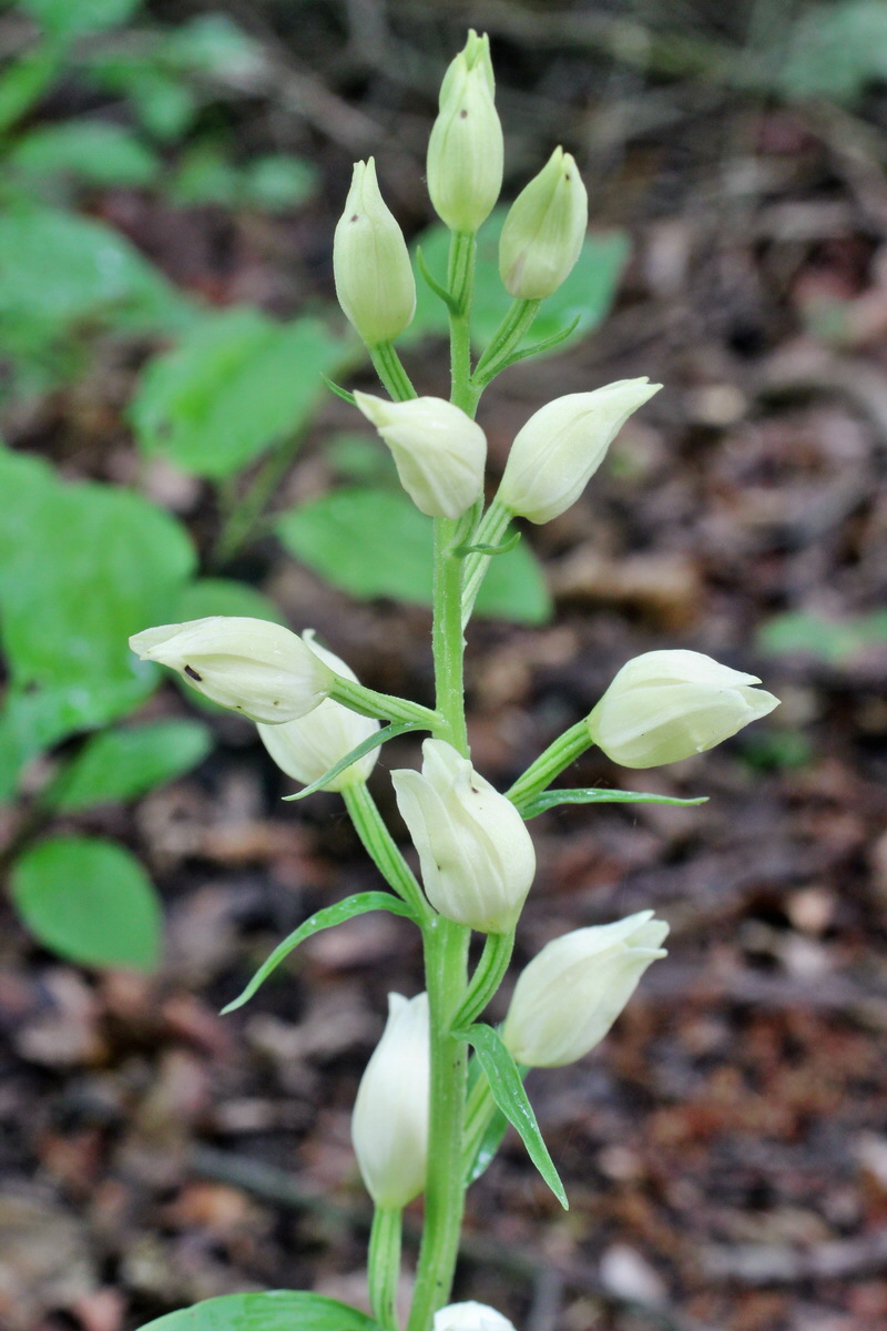 2014_05_19_00042978p_Bildgr��e �ndern