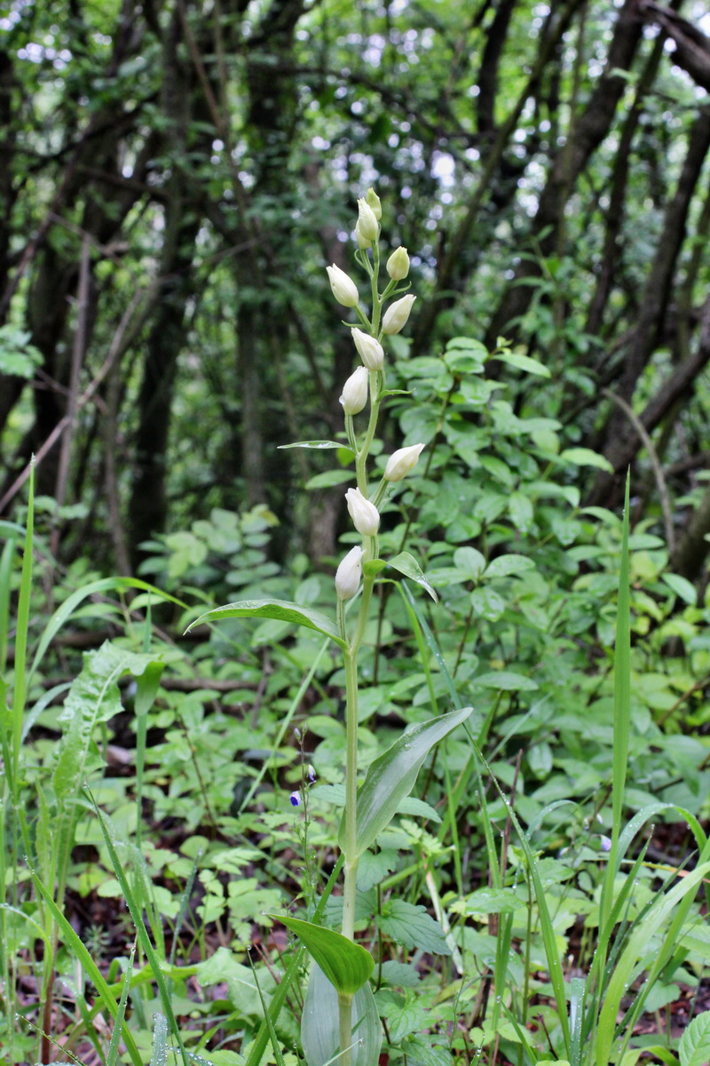 2014_05_19_00042983p_Bildgr��e �ndern