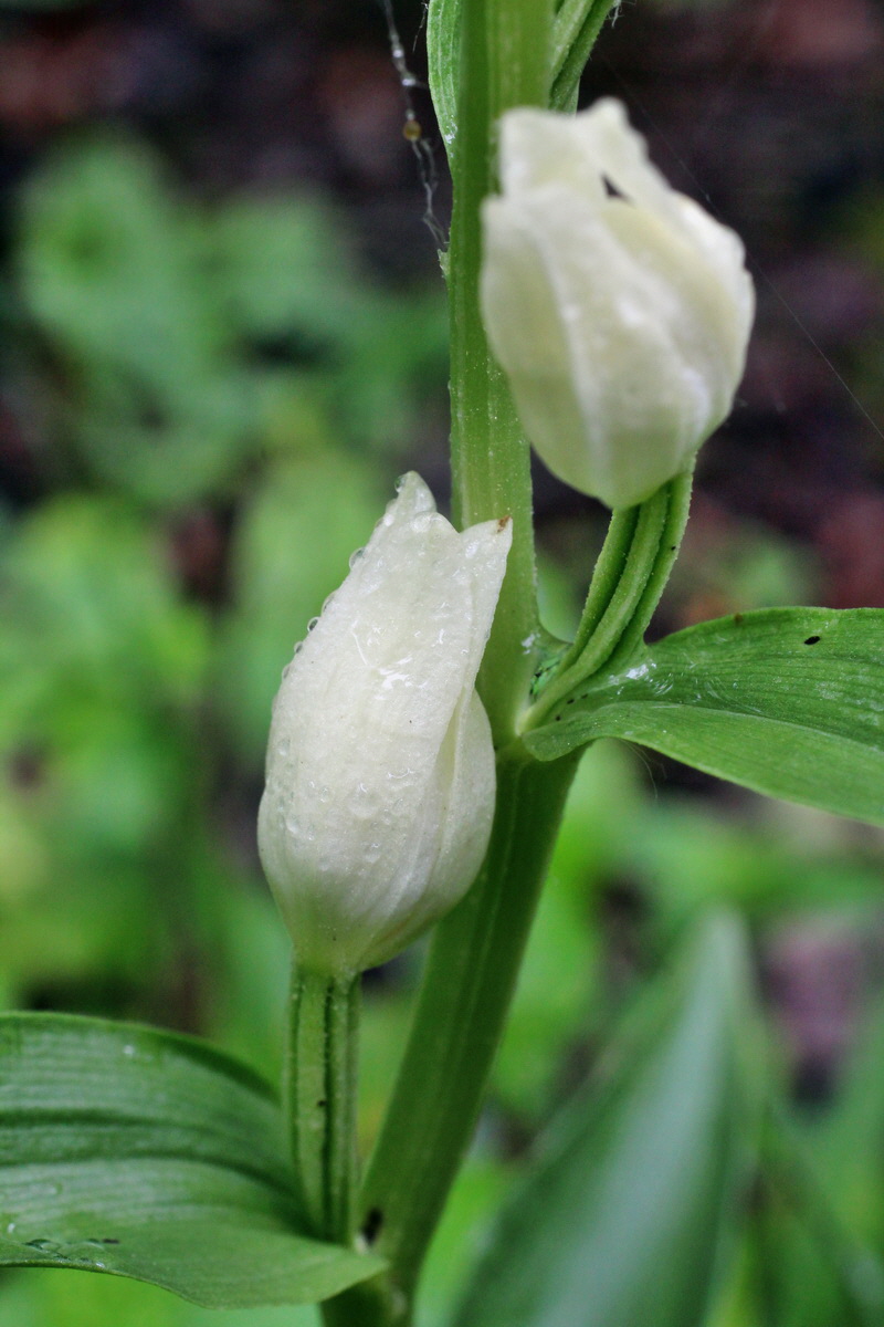 2014_05_19_00042984p_Bildgr��e �ndern