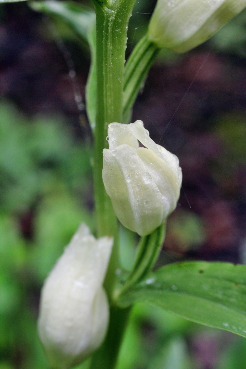 2014_05_19_00042988p_Bildgr��e �ndern