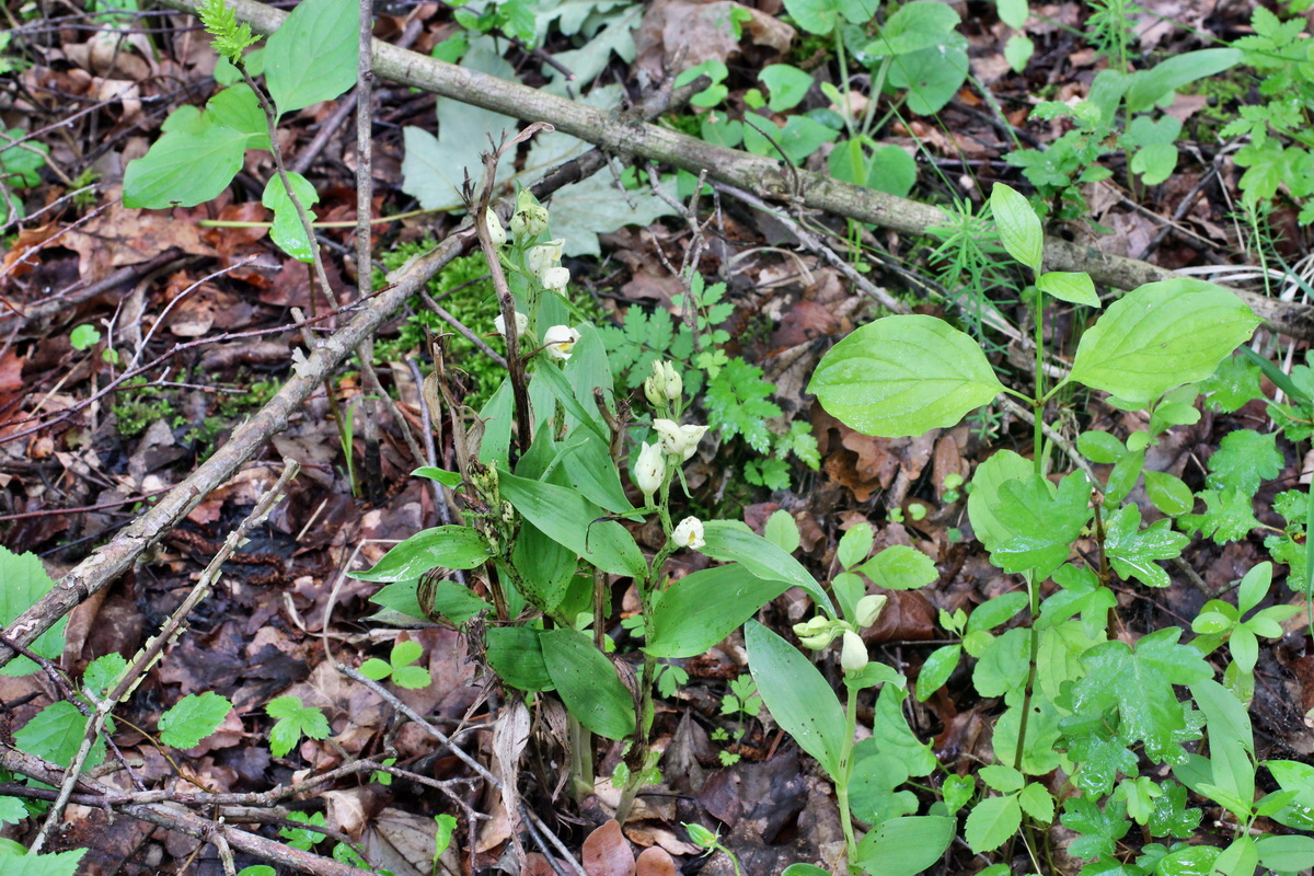 2014_05_19_00042992p_Bildgr��e �ndern