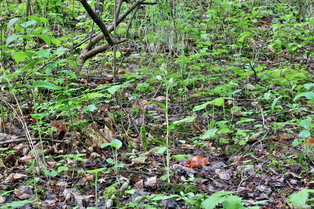 2014_05_19_00042998p_Bildgr��e �ndern