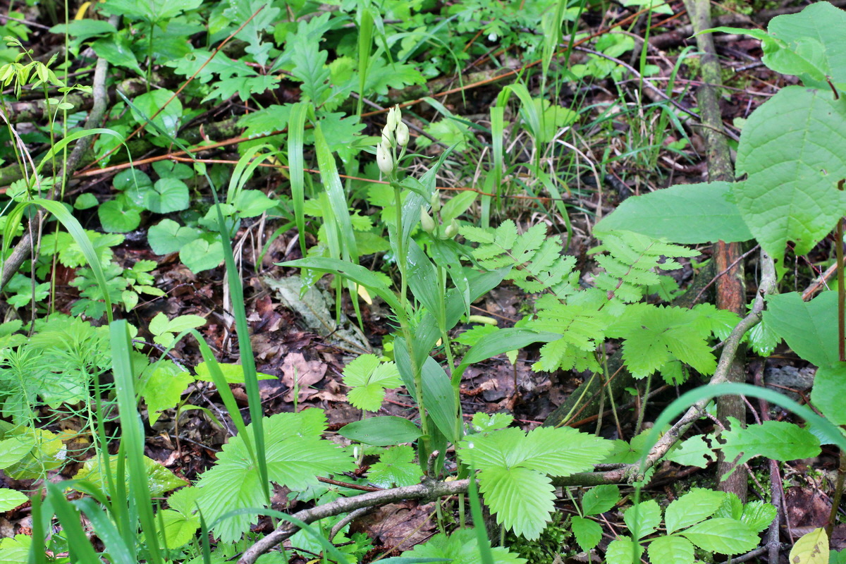 2014_05_19_00043009p_Bildgr��e �ndern