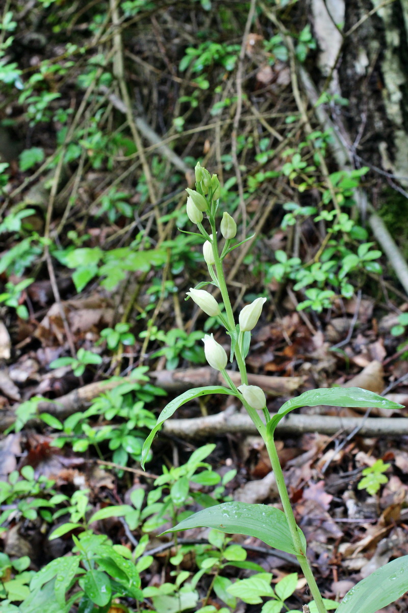 2014_05_19_00043012p_Bildgr��e �ndern