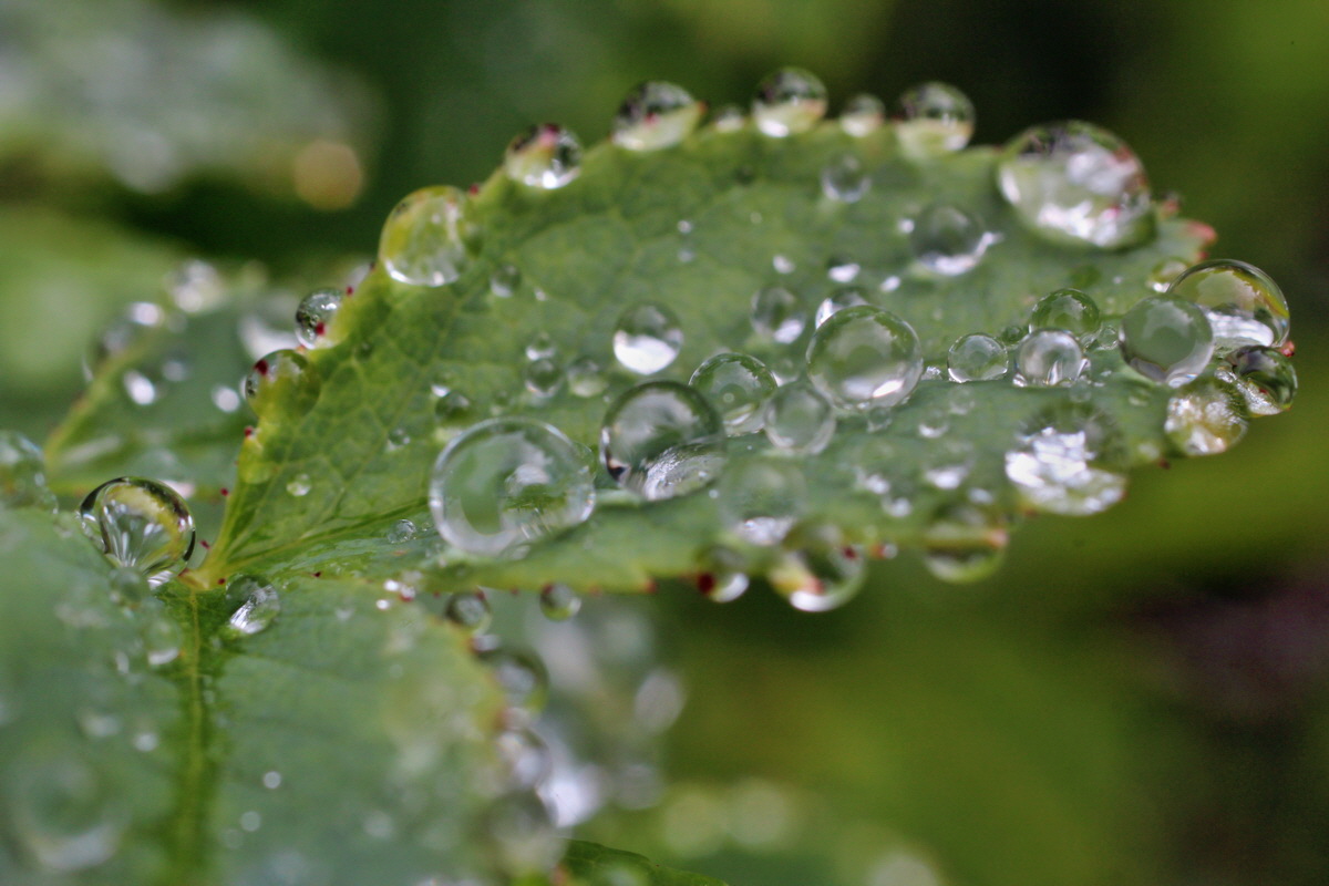 2014_05_19_00043019p_Bildgr��e �ndern