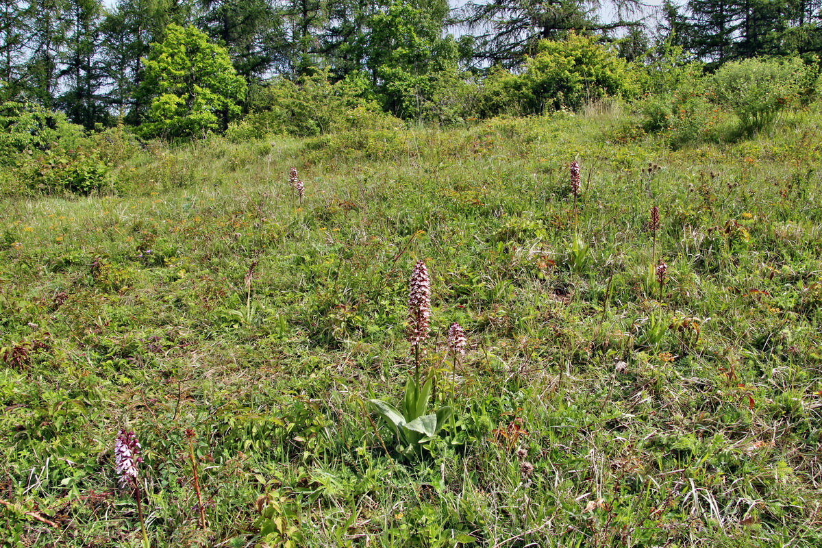 2014_05_19_00043032p_Bildgr��e �ndern