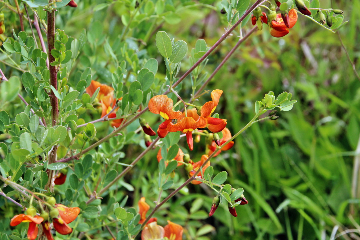 2014_05_19_00043036p_Bildgr��e �ndern