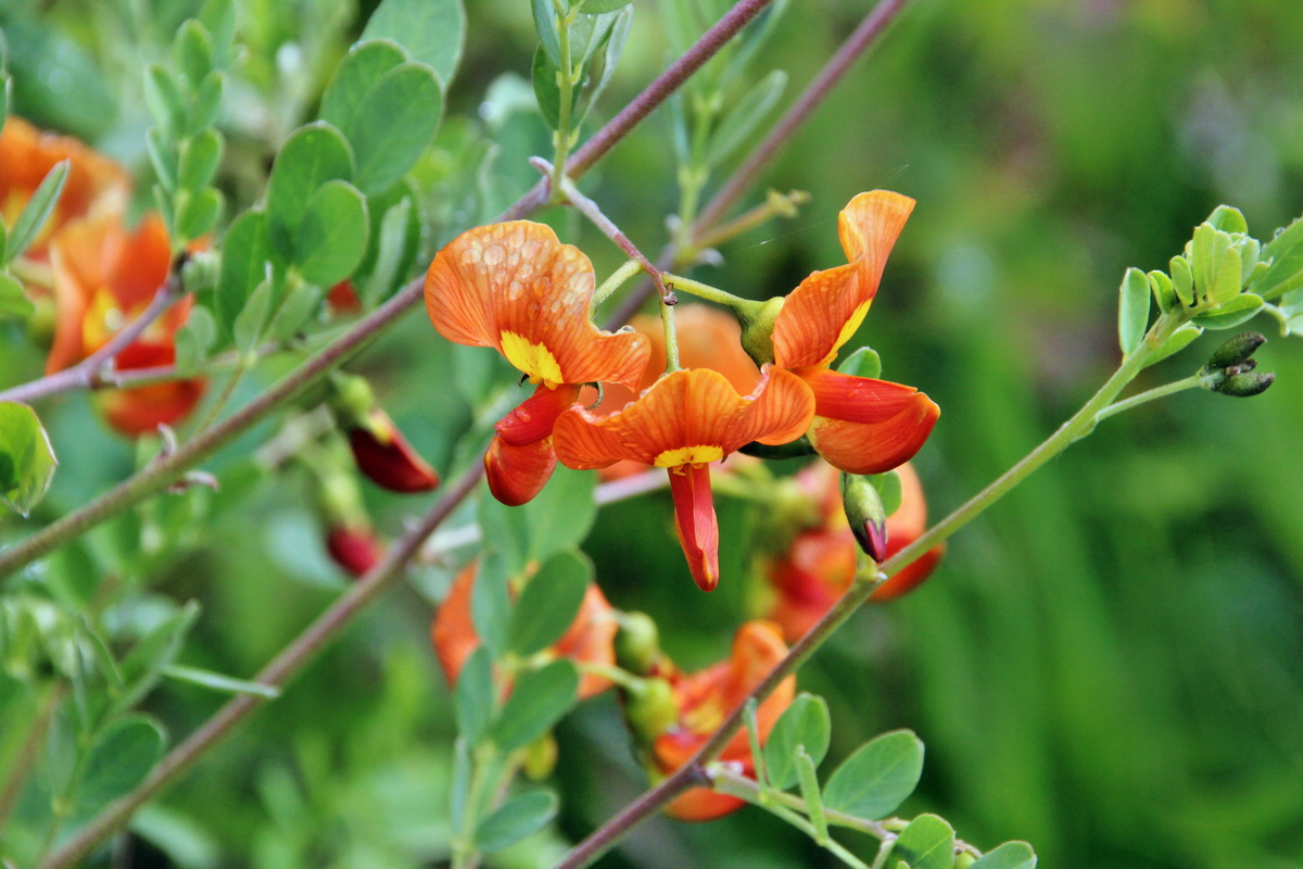 2014_05_19_00043039p_Bildgr��e �ndern