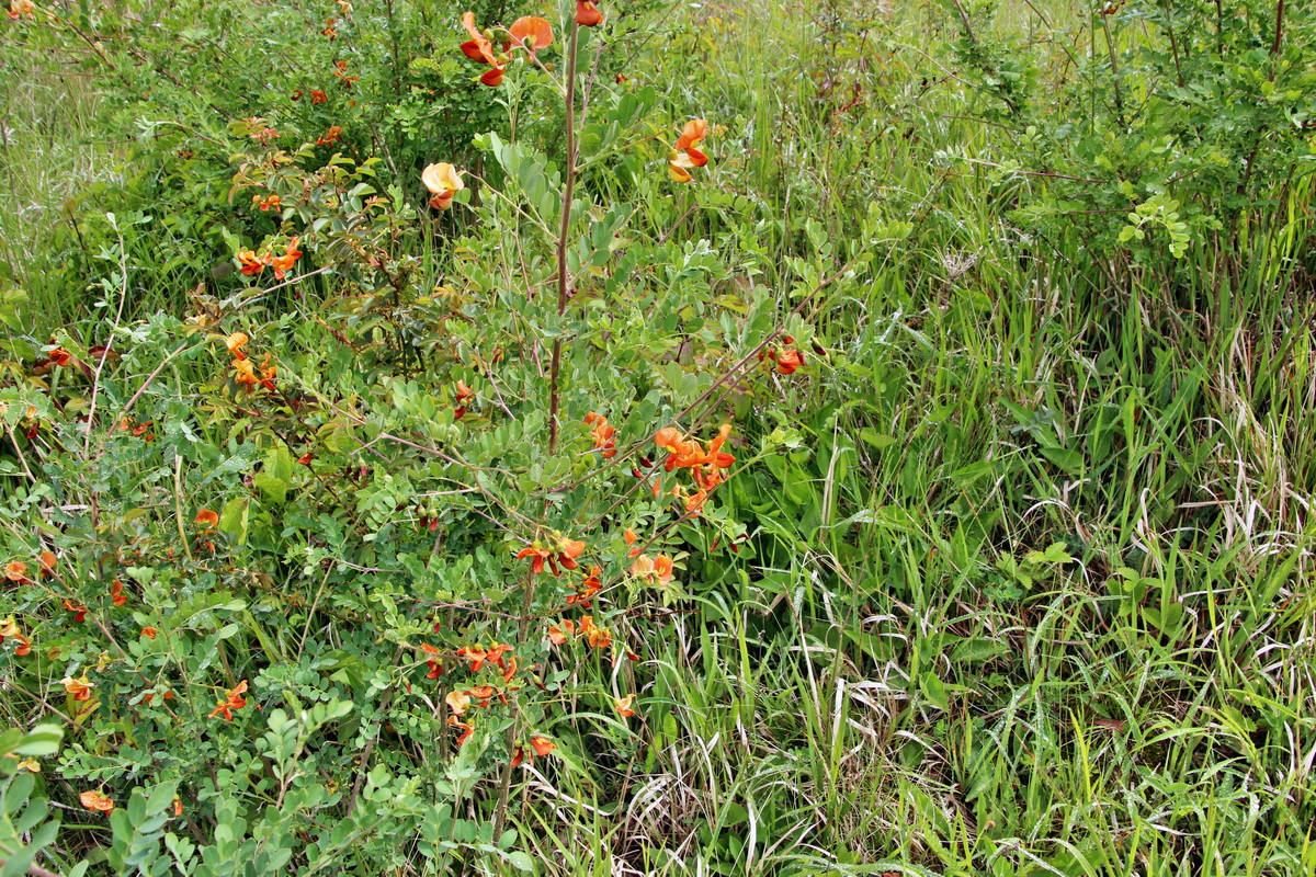 2014_05_19_00043042p_Bildgr��e �ndern