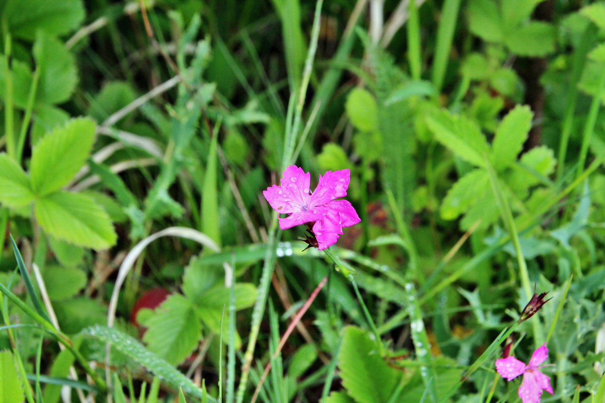 2014_05_19_00043047p_Bildgr��e �ndern