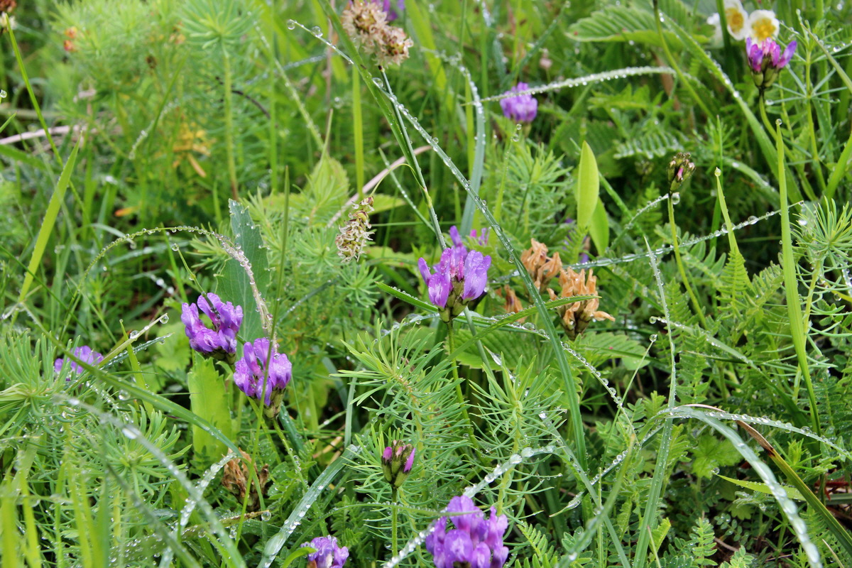 2014_05_19_00043054p_Bildgr��e �ndern