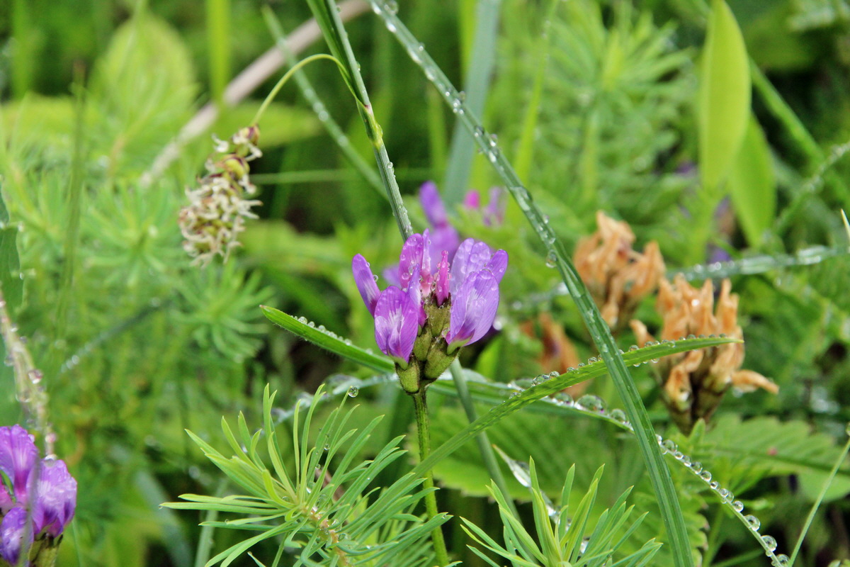 2014_05_19_00043056p_Bildgr��e �ndern