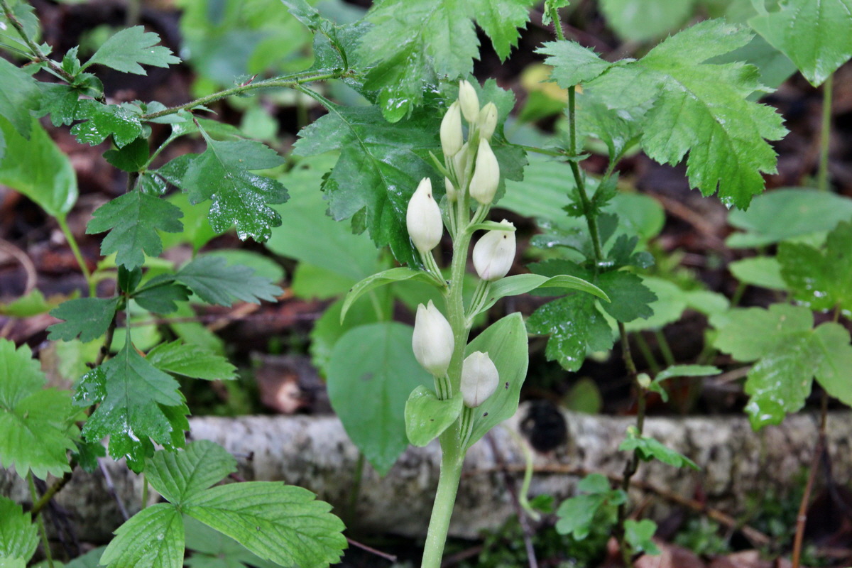 2014_05_19_00043066p_Bildgr��e �ndern