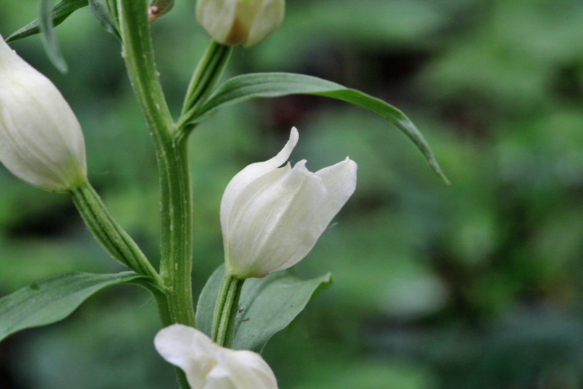 2014_05_19_00043074p_Bildgr��e �ndern