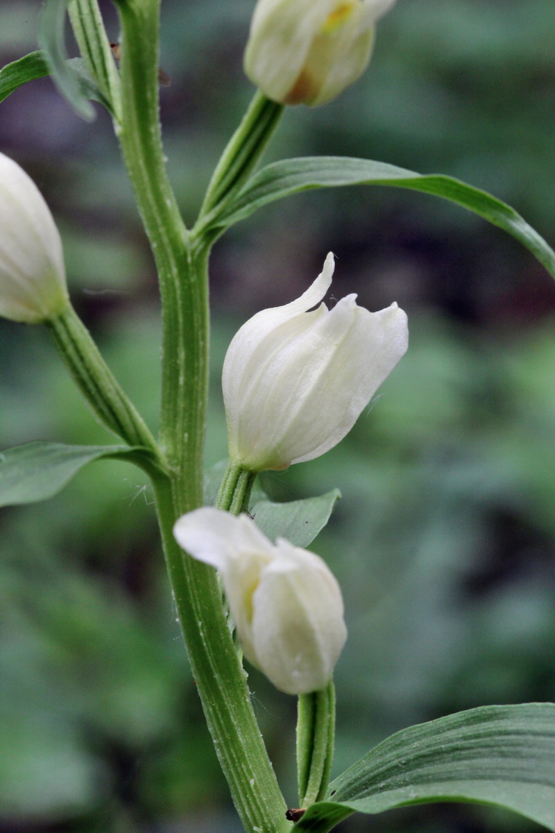 2014_05_19_00043077p_Bildgr��e �ndern