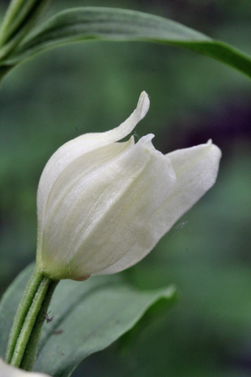 2014_05_19_00043081p_Bildgr��e �ndern