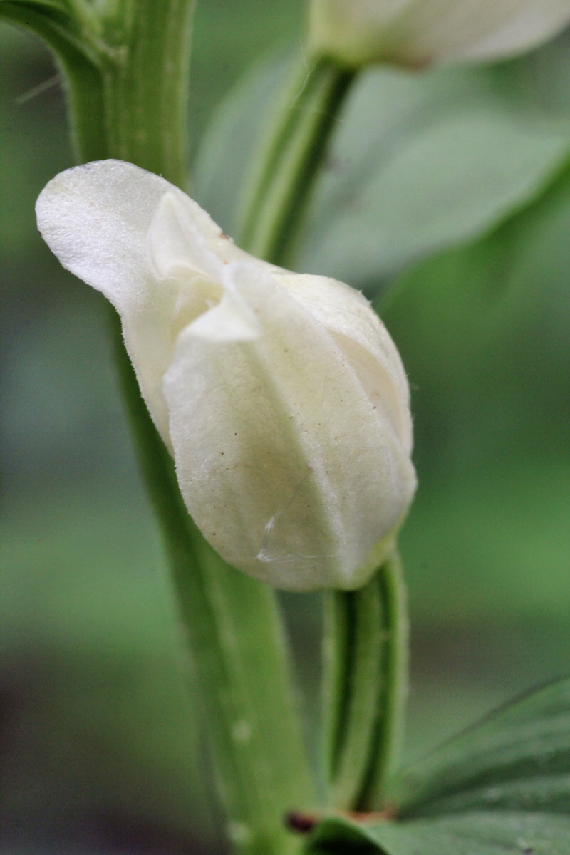 2014_05_19_00043084p_Bildgr��e �ndern